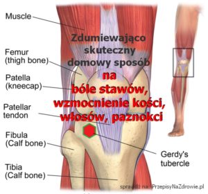 PrzepisyNaZdrowie.pl-zdumiewajacy-sposob--mikstura-na-bole-stawow-wzmocnienie-kosci-wlosow-paznokci