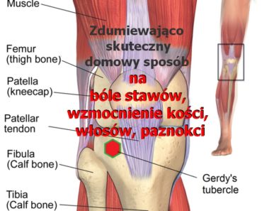 PrzepisyNaZdrowie.pl-zdumiewajacy-sposob--mikstura-na-bole-stawow-wzmocnienie-kosci-wlosow-paznokci