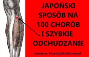 PrzepisyNaZdrowie.pl-punkt-100-chorob-japonski-sposob-na-choroby-odchudzanie-300x193