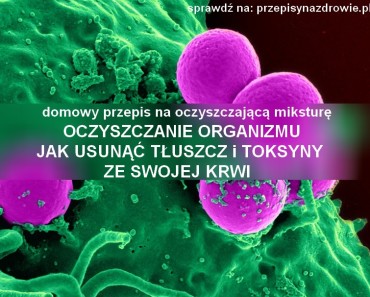 przepisynazdrowie-oczyszczanie-organizmu-oczyszczanie-krwi-z-toksyn