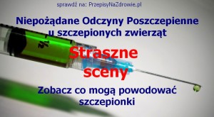 przepisynazdrowie.pl-NOP-niepozadane-odczyny0poszczepienne-zwierzeta-film-straszne-sceny